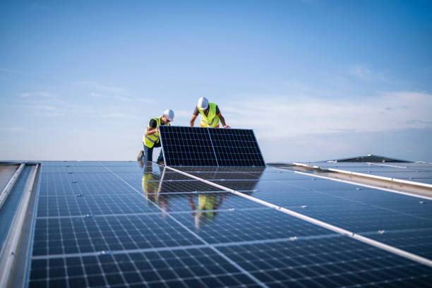 Best Roof Moss and Algae Removal  in Isle Of Palms, SC