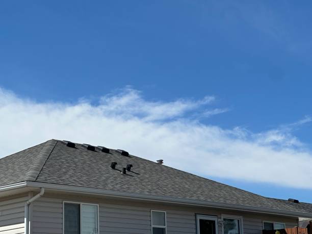 Isle Of Palms, SC Roofing service Company